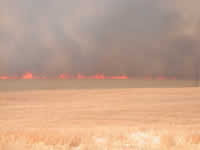 4:26pm Wind shifts to westerly, turning the fire eastward.